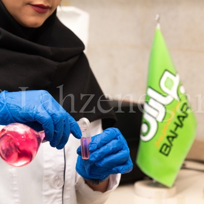 14030628_baharan_023