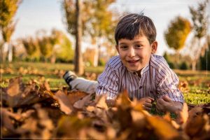 عکاسی پاییزی در صبح