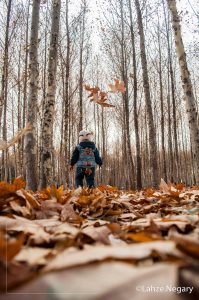 عکاسی از فضای پاییزی همراه با سوژه