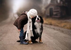 "The dog whisperer" توسط Daniel Venter