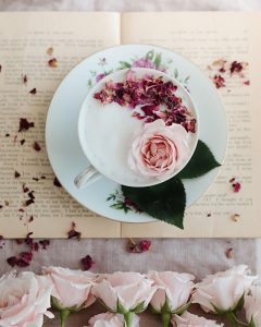 Photos by Heather Barnes