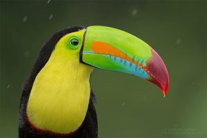 عکاسی با فرمت RAW