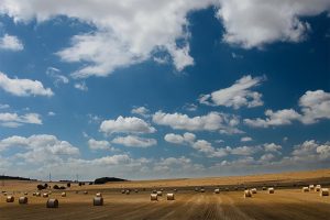اضافه کردن حس مقیاس