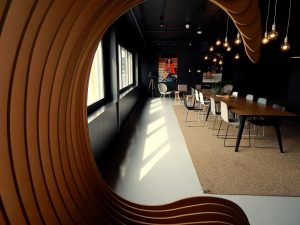 استفاده خلاقانه از نور طبیعی برای عکاسی