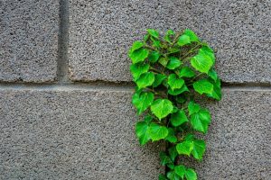 تمرکز روی جزئیات