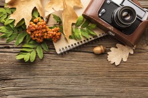 عکاسی تبلیغاتی پاییزی