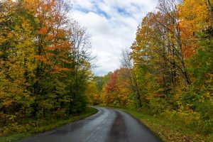 عکاسی تبلیغاتی در پاییز