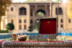 14020913_گز-پویا-نارون_057